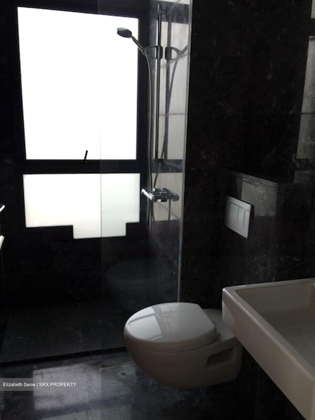 Skypark @ Somerset (D9), Apartment #461137331